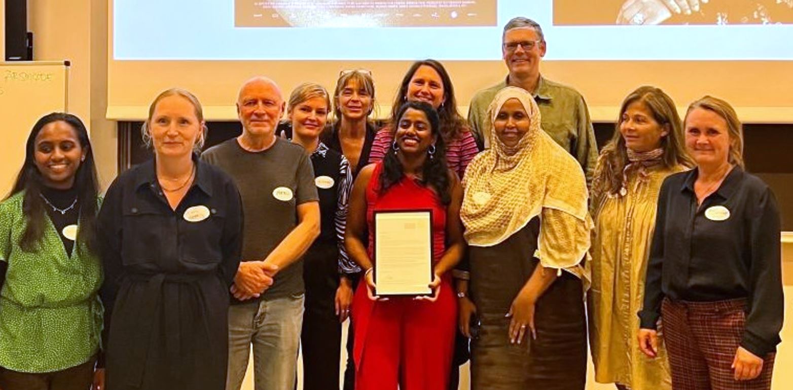 <p>DSIH Board Members</p>